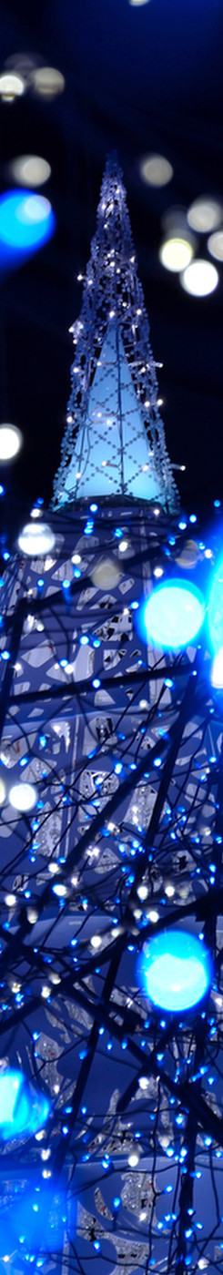 イルミネーション