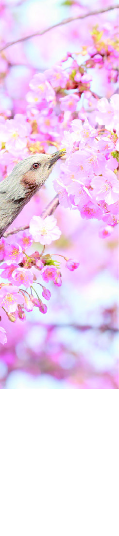 名称未設定-3-01