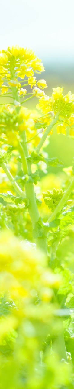 9ed7bcb23741bfbfb0e414f0296fb8f9_m