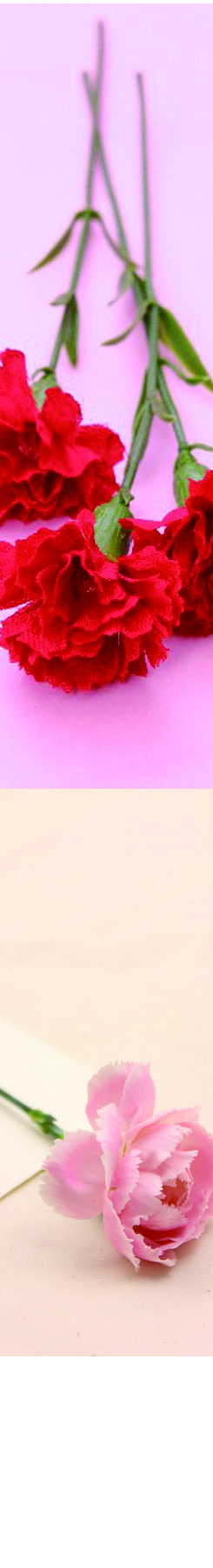 名称未設定-1-01