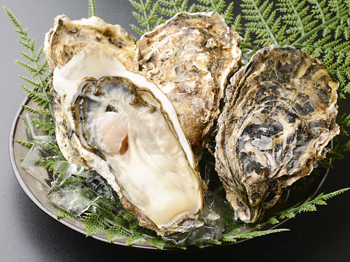 蝠・刀逕ｻ蜒・繧ｵ繧､繧ｭ繧ｷ繝ｼ