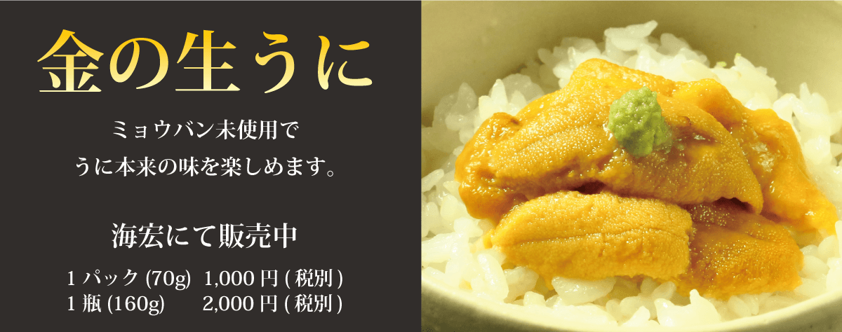 金の生ウニ_海宏