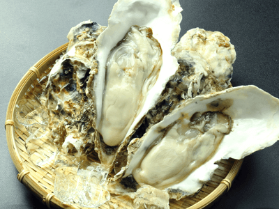 牡蠣_サイキシー