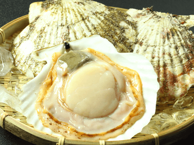 ホタテ_サイキシー