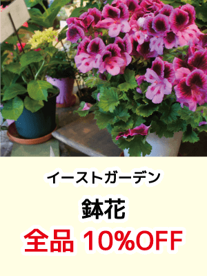 イーストガーデン