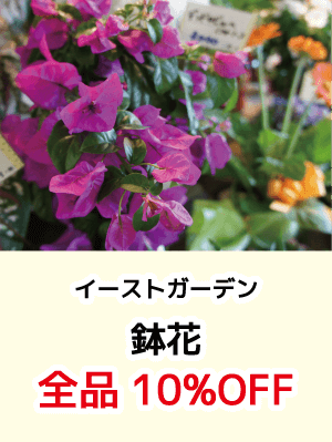 イーストガーデン