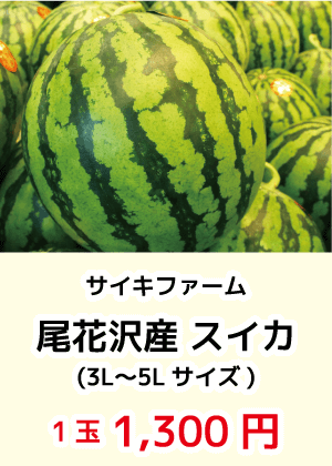 サイキファーム_尾花沢産スイカ