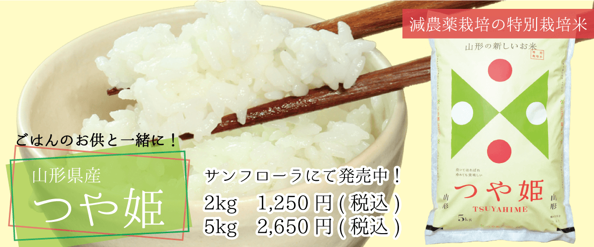 サンフローラ_つや姫