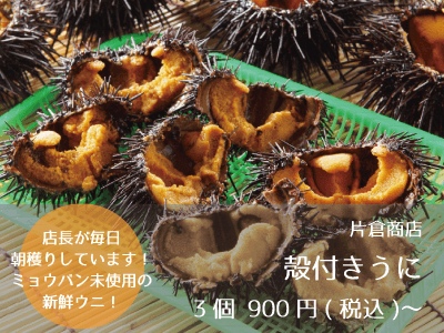 片倉商店_殻付きうに
