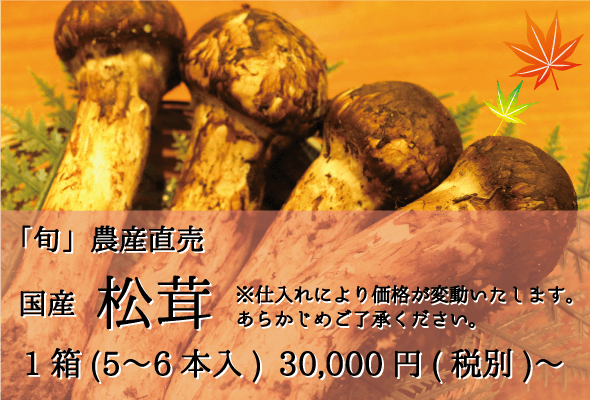 松茸