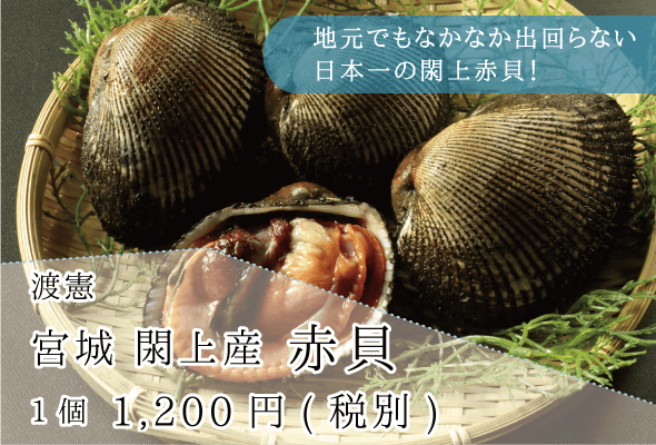 渡憲_宮城閖上産赤貝