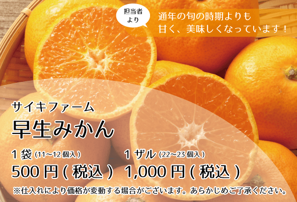 サイキファーム_早生みかん