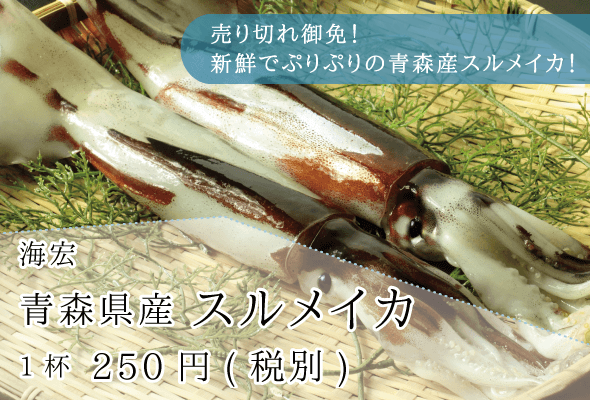 海宏_青森県産スルメイカ