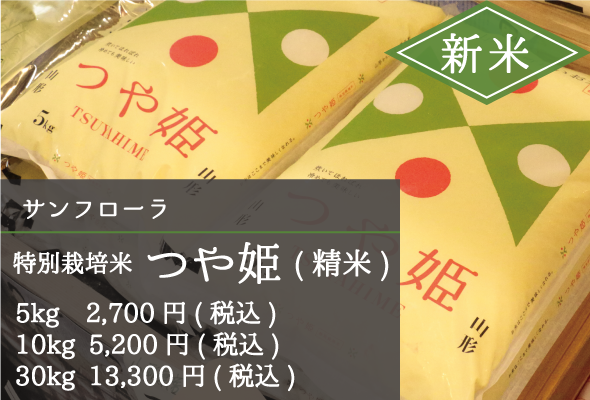 サンフローラ_つや姫
