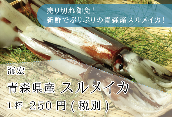 海宏_青森県産スルメイカ