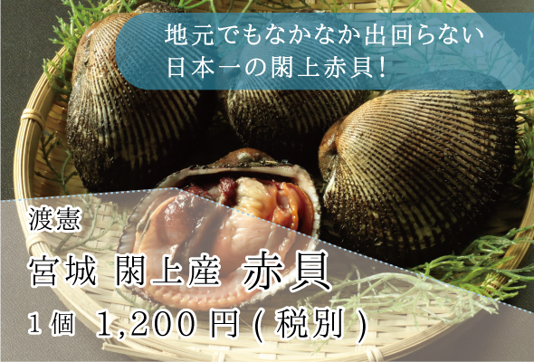 渡憲_宮城閖上産赤貝