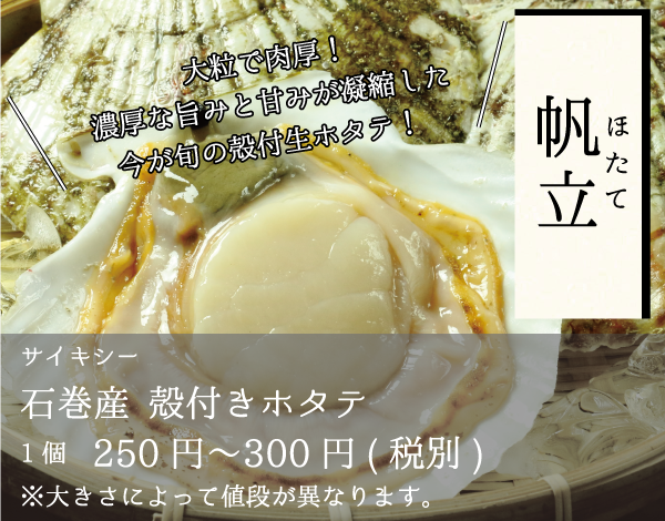 大粒で肉厚！-濃厚な旨みと甘みが凝縮した-今が旬の殻付生ホタテ！-_サイキシー_石巻産殻付きホタテ