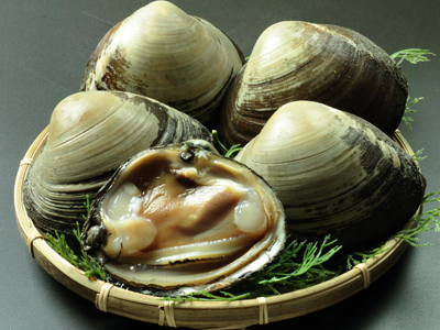 ほっき飯の主役！天然ほっき貝