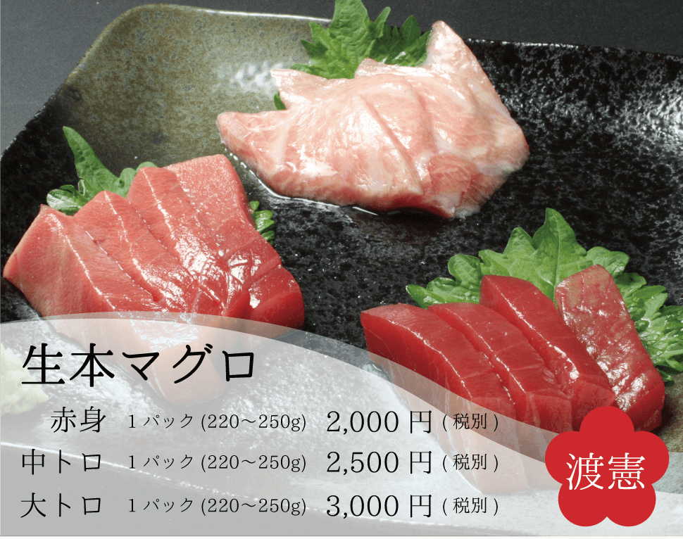 渡憲_生本マグロ_大トロ_中トロ_赤身_sp