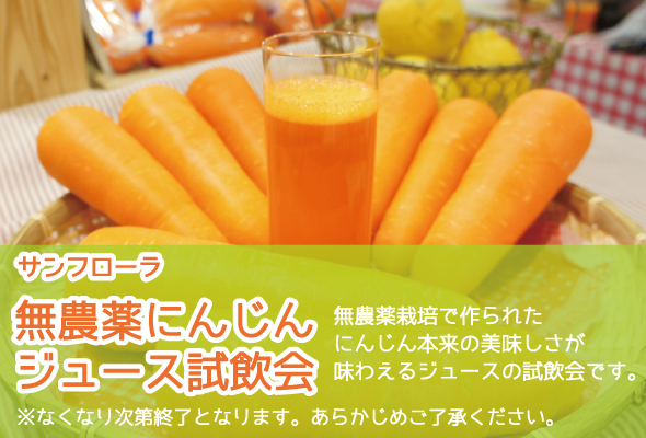 サンフローラ_無農薬にんじんジュース試飲会_無農薬栽培のにんじん