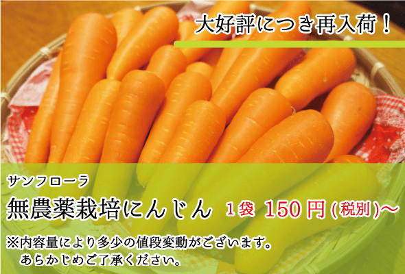 サンフローラ_無農薬栽培にんじん_1袋-150円(税別)〜
