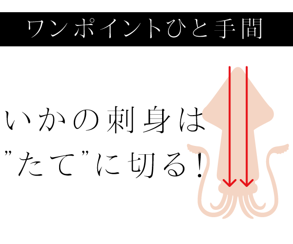 ワンポイントひと手間 いかの刺身はたてに切る！