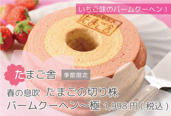 たまご舎 季節限定 春の息吹たまごの切り株バームクーヘン〜極 1,998円