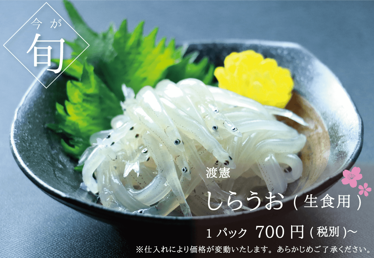 渡憲 今が旬！生食用しらうお 700円〜
