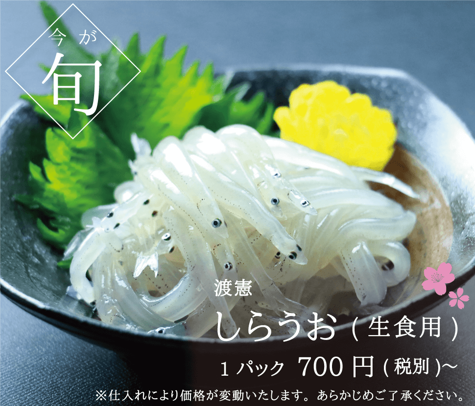 渡憲 今が旬！生食用しらうお 700円〜