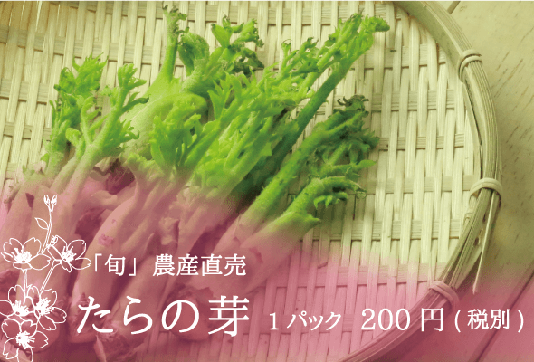 「旬」農産直売 たらの芽 1パック200円(税別)