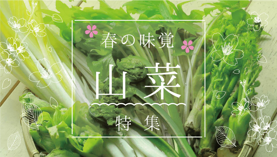 春の味覚 山菜特集