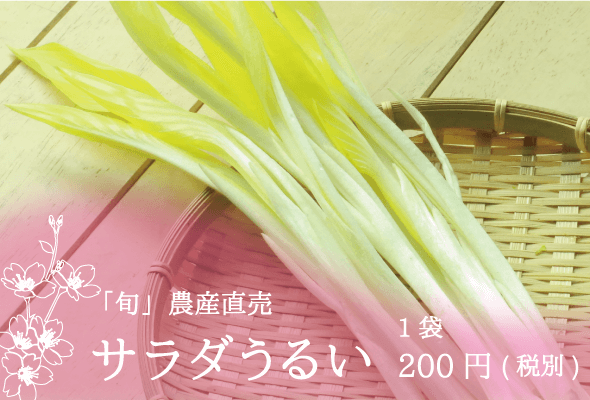「旬」農産直売 サラダうるい 1袋200円(税別)