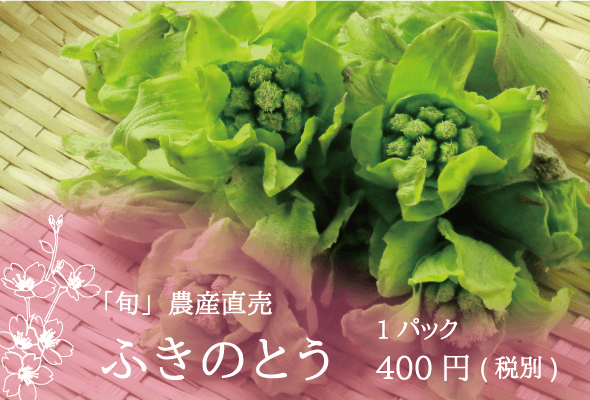 「旬」農産直売 ふきのとう 1パック400円(税別)