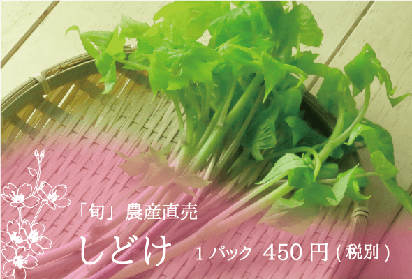 「旬」農産直売 しどけ 1パック450円(税別)