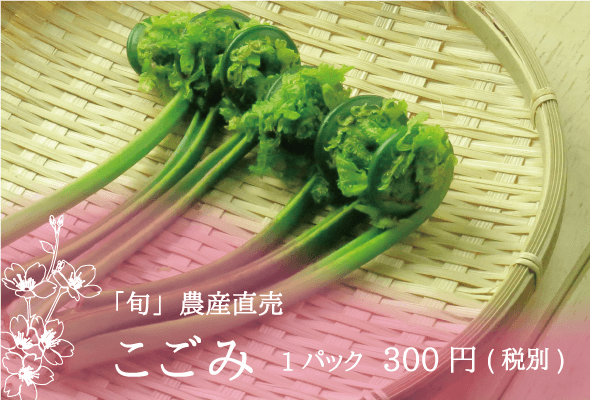 「旬」農産直売 こごみ 1パック300円(税別)