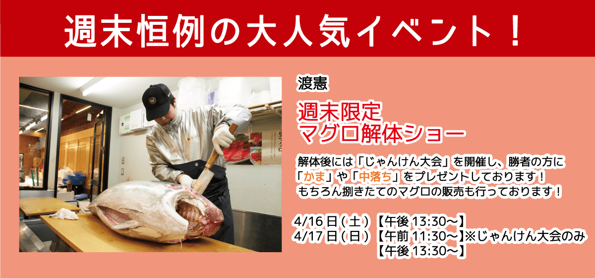 週末恒例の大人気イベント！渡憲 週末限定マグロ解体ショー