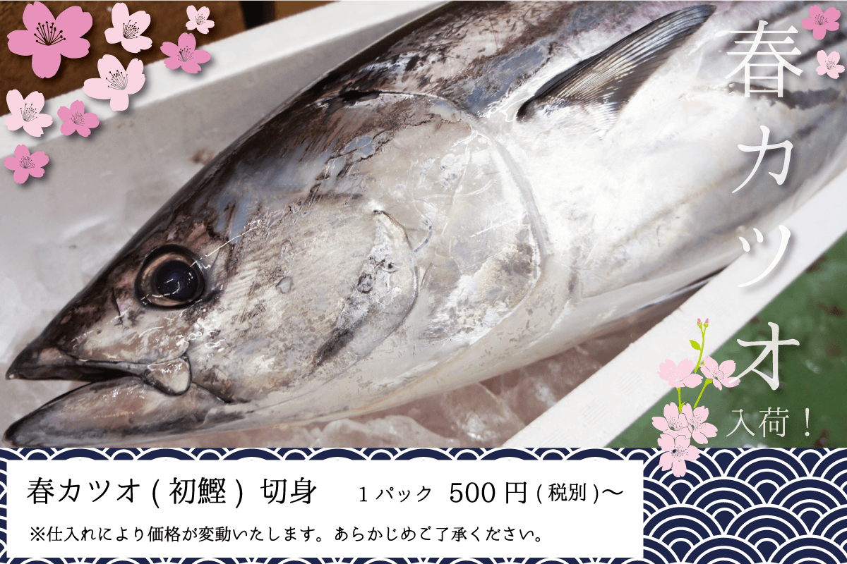 渡憲 初カツオ入荷！ 春カツオ(初鰹)切身 1パック500円〜 仕入れにより価格が変動いたします。あらかじめご了承ください。