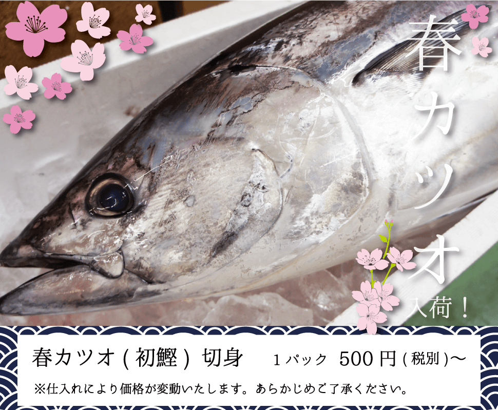 渡憲 初カツオ入荷！ 春カツオ(初鰹)切身 1パック500円〜 仕入れにより価格が変動いたします。あらかじめご了承ください。