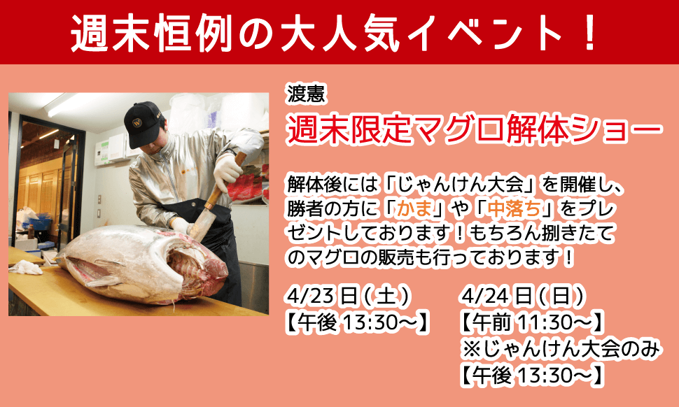 週末恒例の大人気イベント！渡憲 週末限定マグロ解体ショー