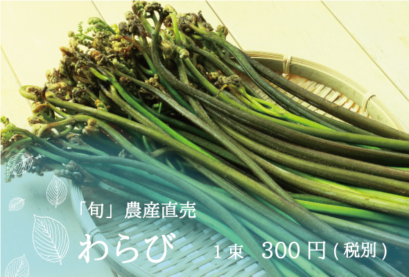 旬農産直売 わらび1束300円