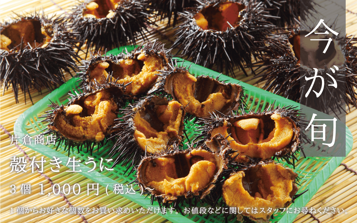 片倉商店 殻付き生うに 3個1000円〜