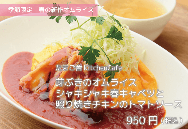 たまご舎KitchenCafe 季節限定春の新作オムライス 芽ぶきのオムライスシャキシャキ春キャベツと照り焼きチキンのトマトソース 950円