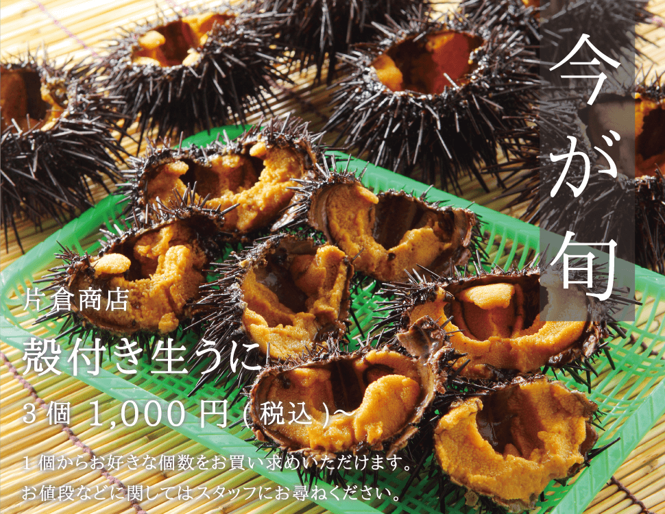 片倉商店 殻付き生うに 3個1000円〜