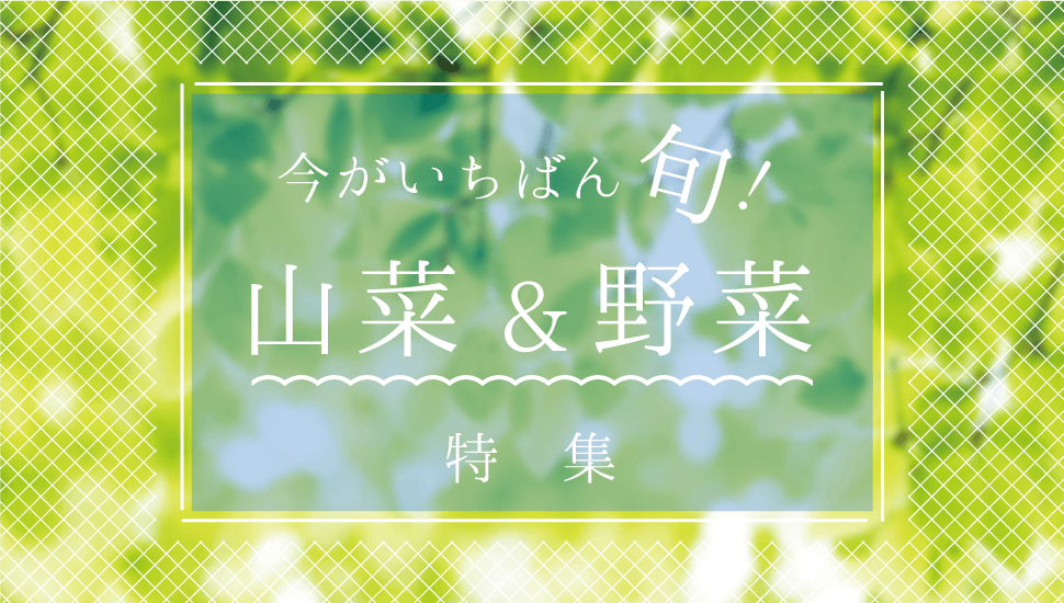 今がいちばん旬！山菜&野菜特集