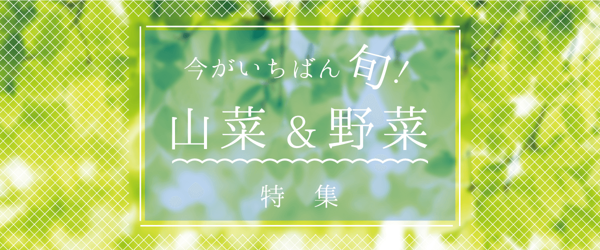 今がいちばん旬！山菜&野菜特集