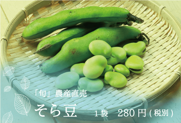 旬農産直売 そら豆1袋280円