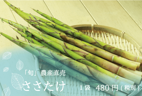 旬農産直売 ささたけ1袋480円