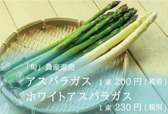 旬農産直売 アスパラガス1束200円 ホワイトアスパラガス1束230円