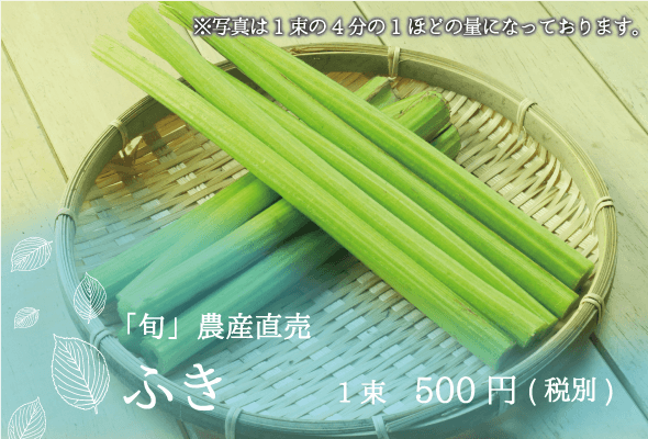 旬農産直売 ふき1束500円
