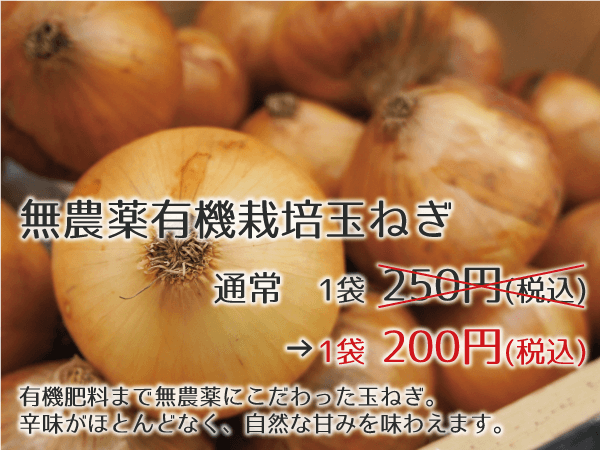 img_サンフローラ